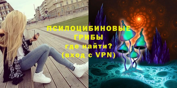 синтетический гашиш Алексеевка