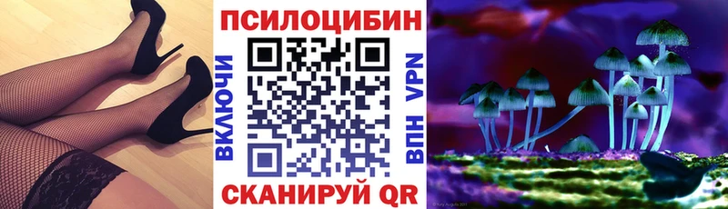 Галлюциногенные грибы Cubensis  купить закладку  Кемерово 