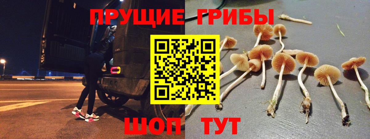 Галлюциногенные грибы ЛСД  Галлюциногенные грибы Magic Shrooms  Вход с VPN  Кемерово 
